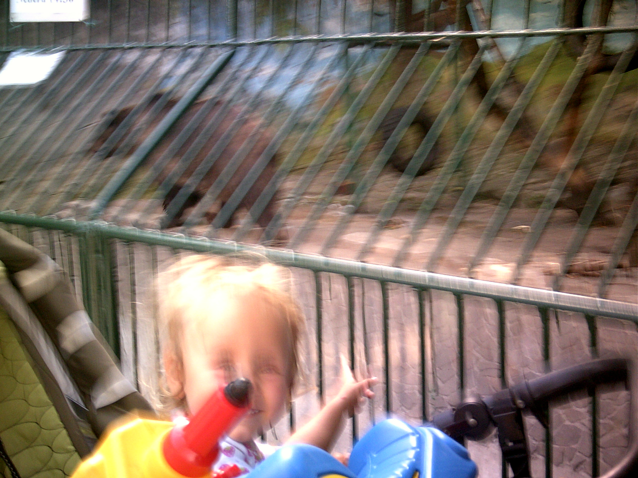 zoo 09 2013 (12)