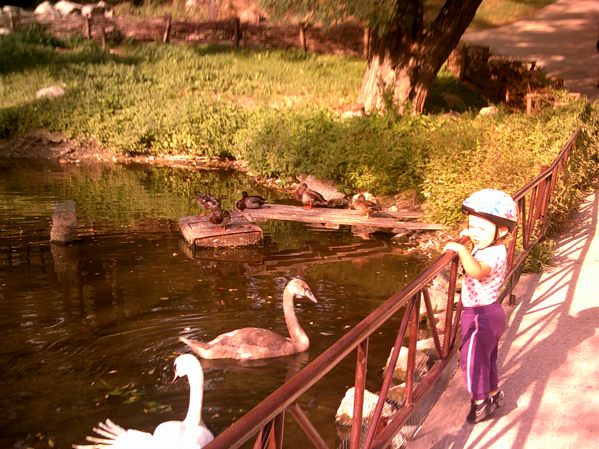 zoo 09 2013 (30)