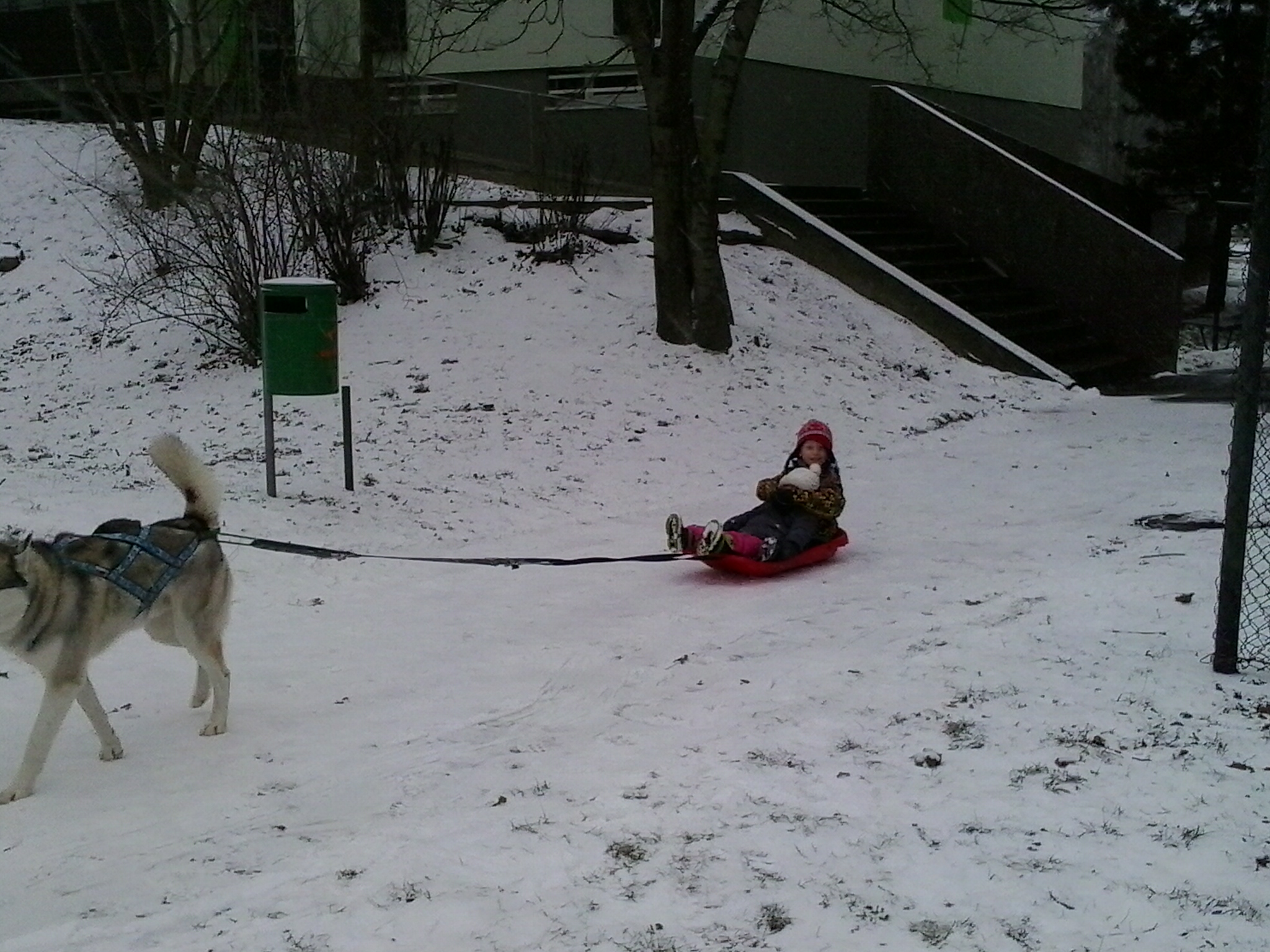 20140129_091830